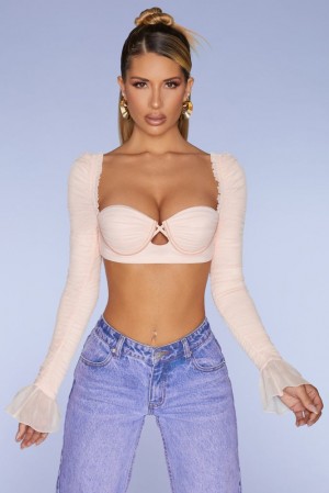 Blush Oh Polly Chamonix Long Sleeve Ruched Crop Top | PKJZ-75604