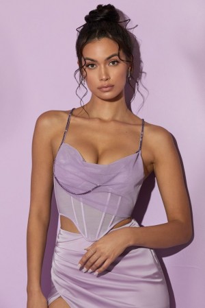 Lilac Oh Polly Lolite Cowl Neck Corset Crop Top | OTKG-43587