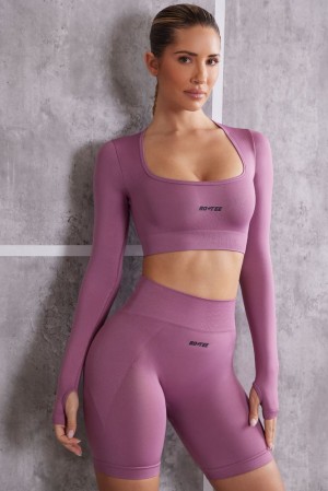 Mauve Oh Polly Instinct Long Sleeve Crop Top | RQTO-68154