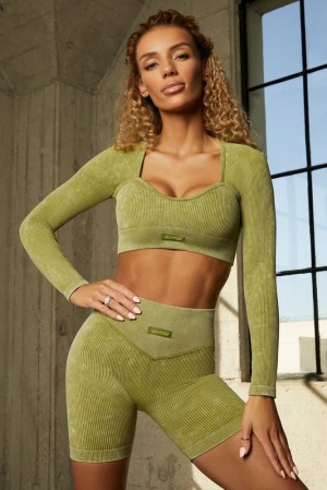 Olive Oh Polly Endeavour Seamless Half Sleeve Curved Neckline Crop Top | TVZJ-08473