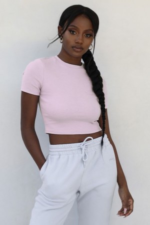 Pink Oh Polly Staple Short Sleeve Crop Top | IRVC-09243