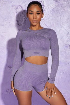 Violet Oh Polly Agile Long Sleeve High Neck Zip Crop Top | NESC-16420