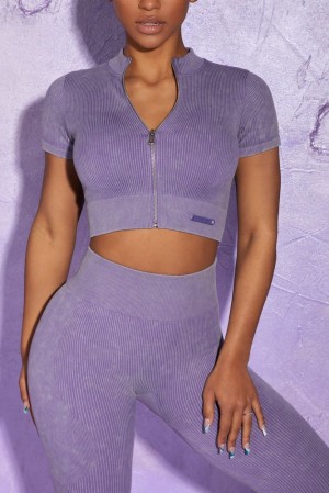 Violet Oh Polly Chase Short Sleeve Zip Crop Top | HJSM-84103