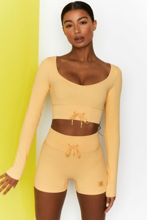 Yellow Oh Polly Time Check Ribbed Long Sleeve Crop Top | GKBW-87531