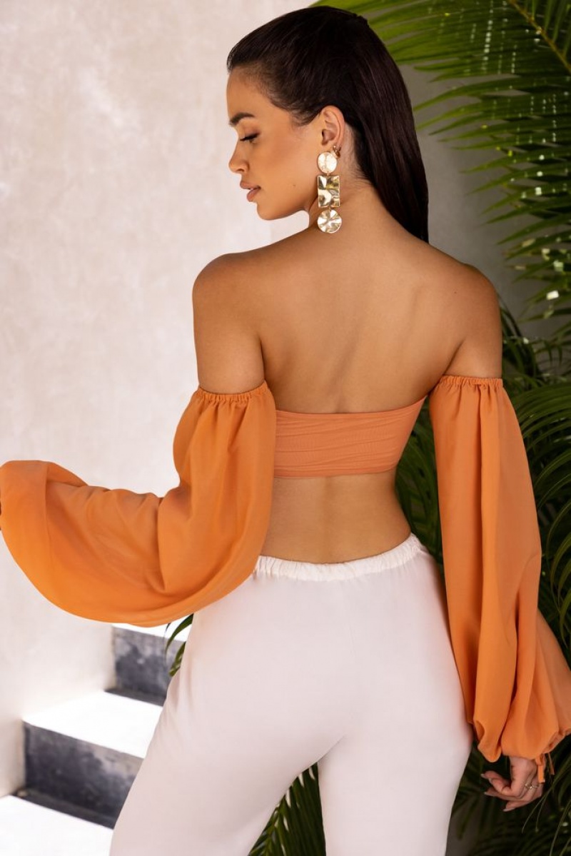 Caramel Oh Polly Wanderlust Bardot Cut Out Crop Top | TRFD-15076