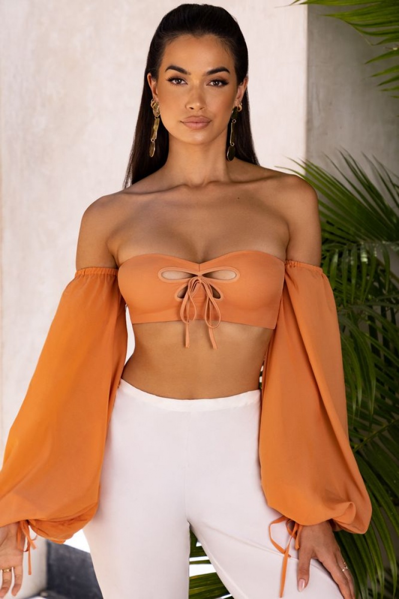 Caramel Oh Polly Wanderlust Bardot Cut Out Crop Top | TRFD-15076