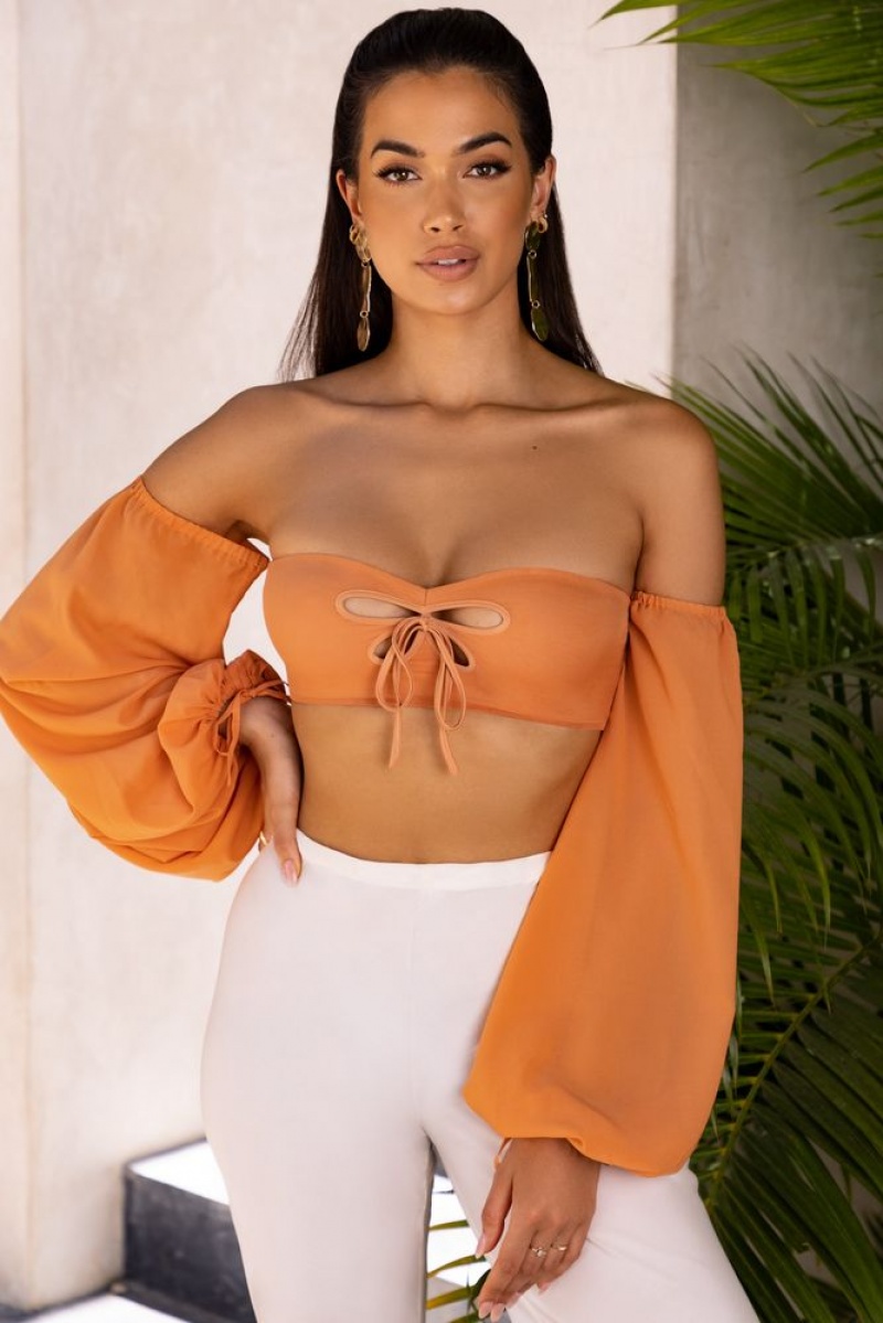 Caramel Oh Polly Wanderlust Bardot Cut Out Crop Top | TRFD-15076