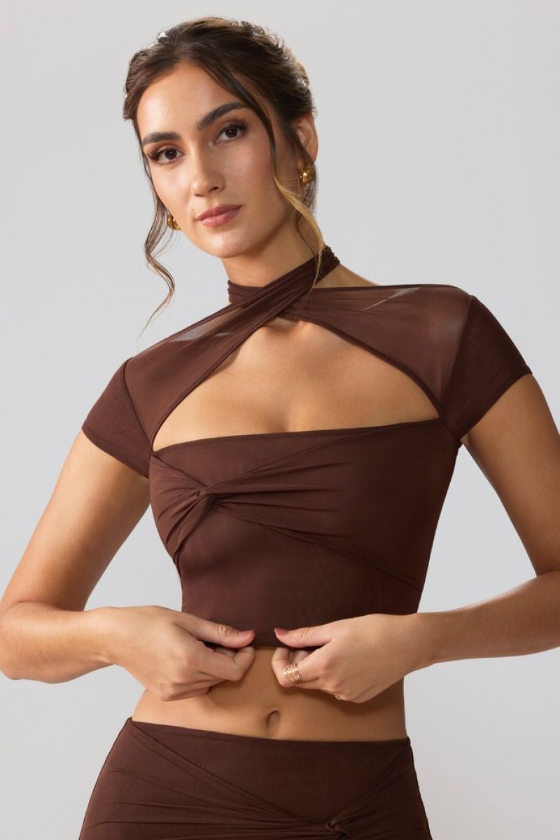 Espresso Oh Polly Opal Mesh Cap Sleeve Cut Out Crop Top | QLKC-96048