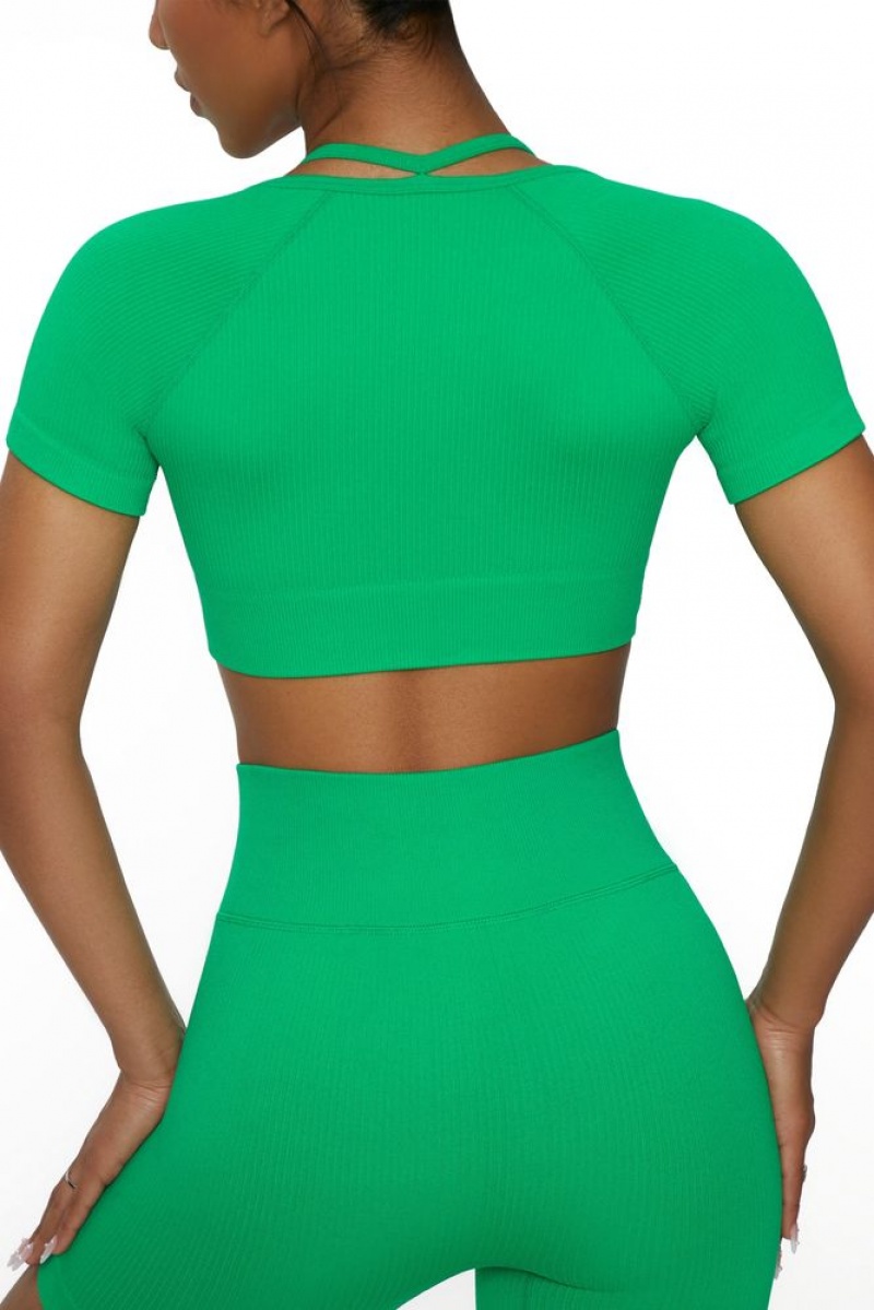 Green Oh Polly High Energy Short Sleeve Crop Top | QWCD-12307