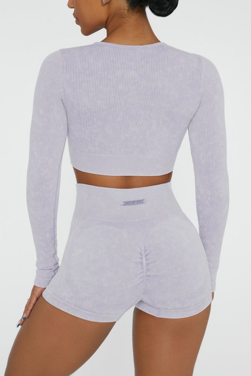 Lilac Oh Polly Agile Long Sleeve High Neck Zip Crop Top | XKCG-75102