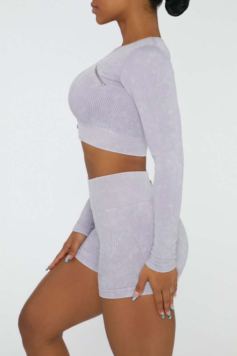 Lilac Oh Polly Agile Long Sleeve High Neck Zip Crop Top | XKCG-75102