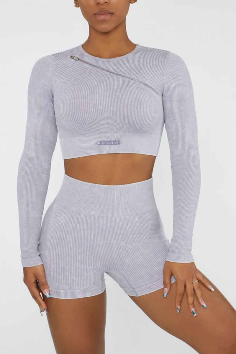 Lilac Oh Polly Agile Long Sleeve High Neck Zip Crop Top | XKCG-75102