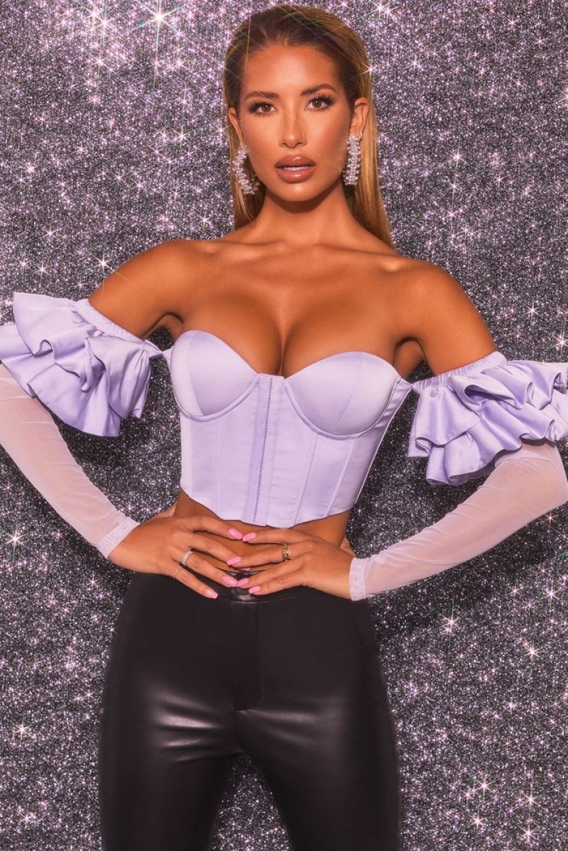 Lilac Oh Polly Love Charm Bardot Long Ruffle Sleeve Corset Crop Top | WCED-37945