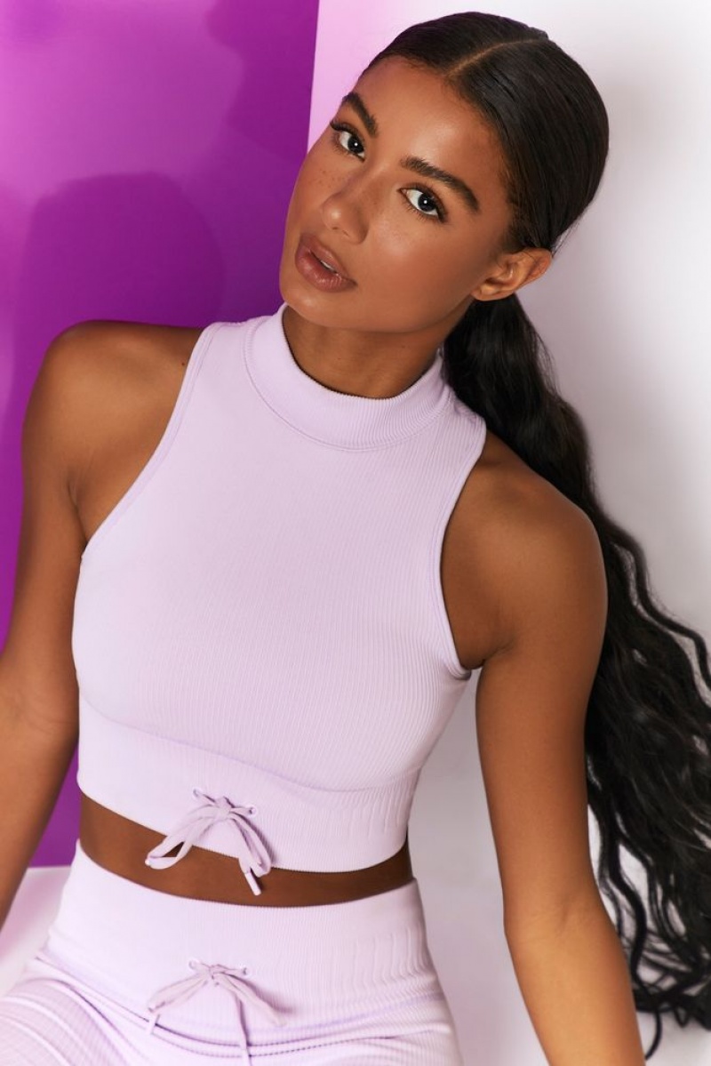 Lilac Oh Polly Miles Ahead Ribbed High Neck Crop Top | LQWE-96710