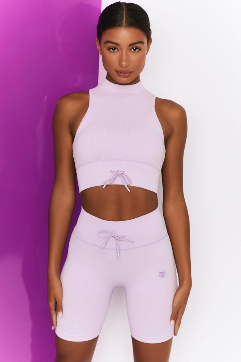 Lilac Oh Polly Miles Ahead Ribbed High Neck Crop Top | LQWE-96710