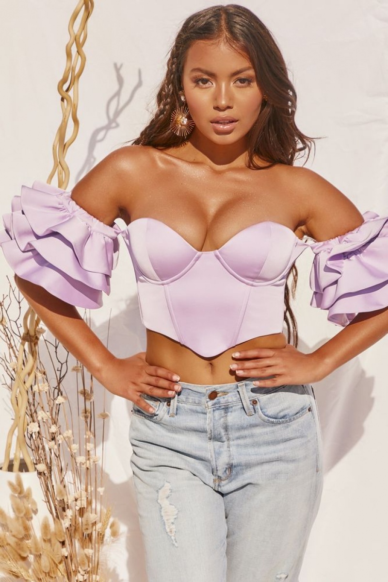 Lilac Oh Polly Sweet Bliss Bardot Ruffle Sleeve Crop Top | JUCD-24136