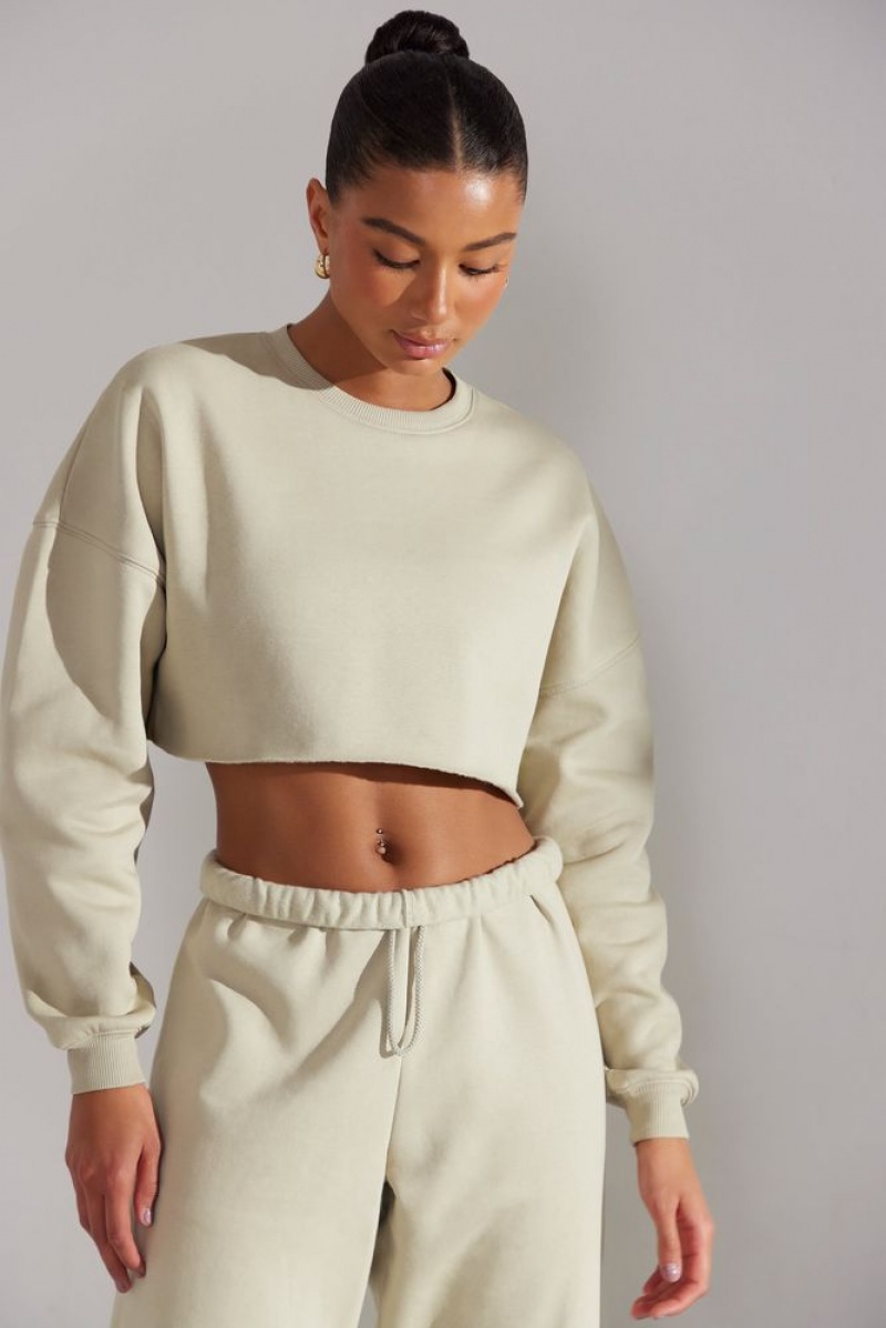 Limestone Oh Polly Fundamental Cropped Oversized Sweatshirt | YQSN-78591