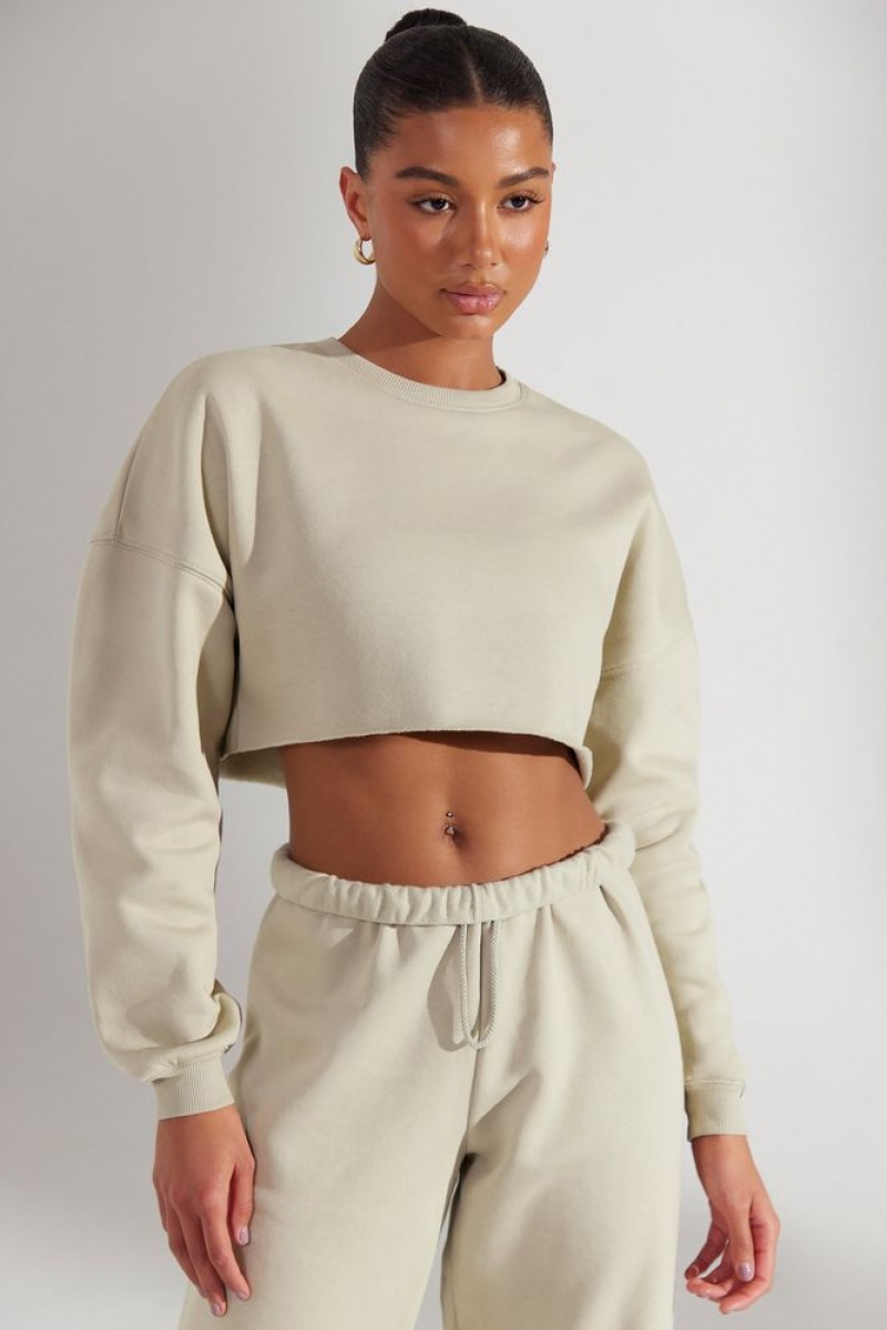 Limestone Oh Polly Fundamental Cropped Oversized Sweatshirt | YQSN-78591