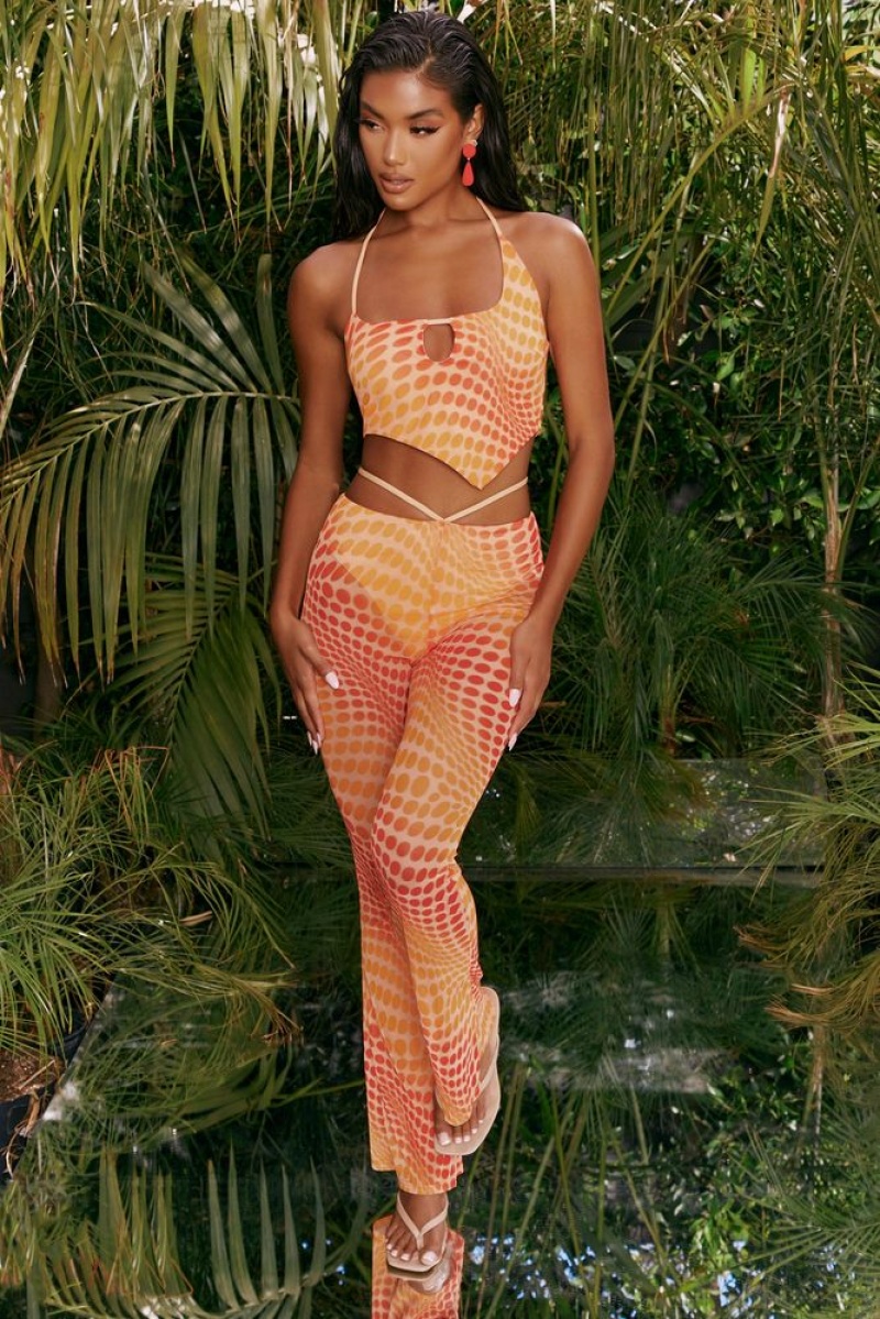 Orange Oh Polly Match It Up Tall Printed Mesh Flared Trousers | DVRS-19502