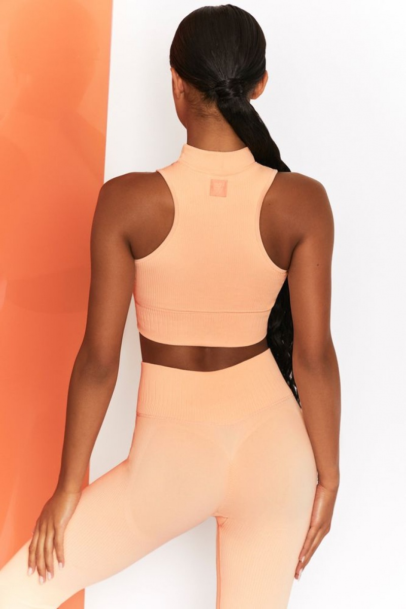 Peach Oh Polly Miles Ahead Ribbed High Neck Crop Top | SXFC-04916