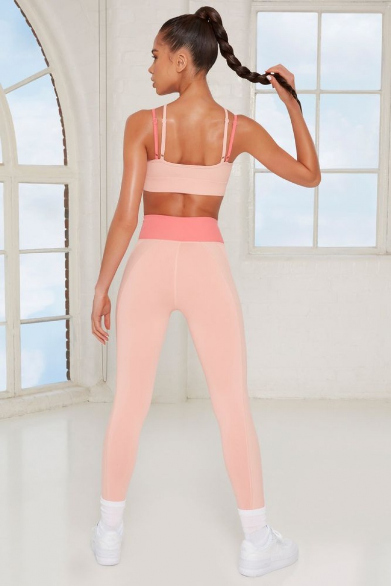 Pink Oh Polly Revive Petite Wrap V Waist Leggings | BPZV-45301