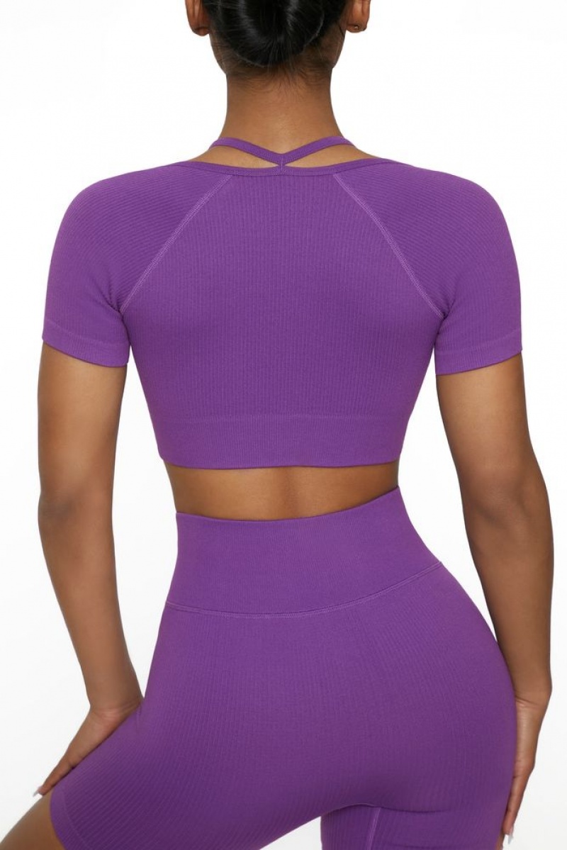 Purple Oh Polly High Energy Short Sleeve Crop Top | SMQI-49560