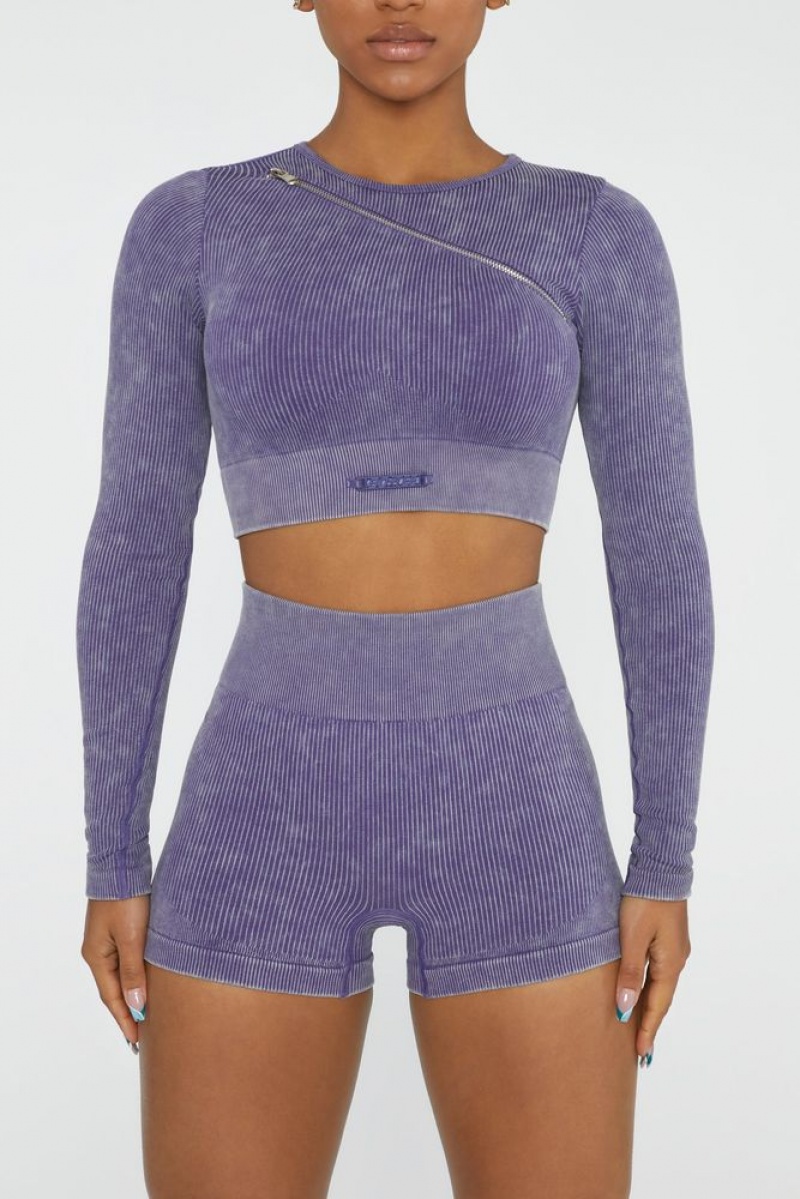 Violet Oh Polly Agile Long Sleeve High Neck Zip Crop Top | NESC-16420