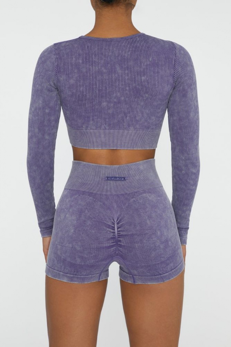 Violet Oh Polly Agile Long Sleeve High Neck Zip Crop Top | NESC-16420