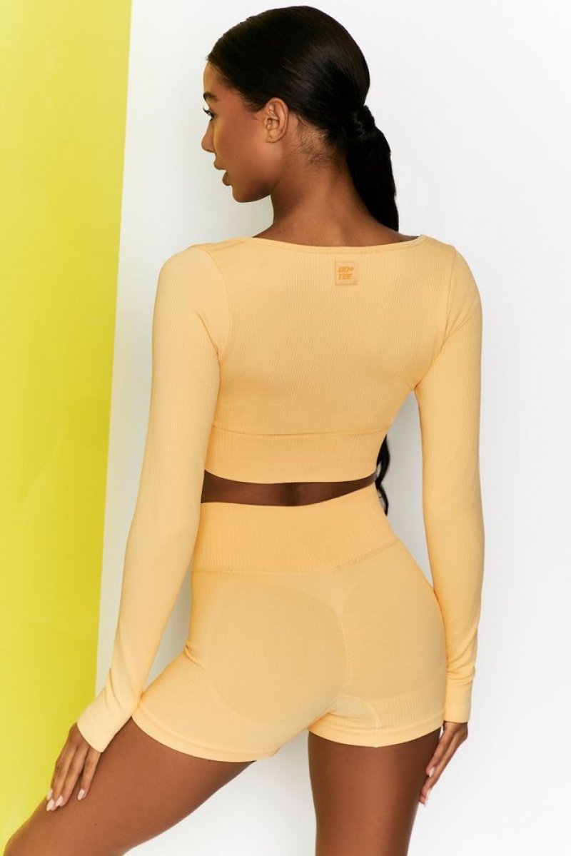 Yellow Oh Polly Time Check Ribbed Long Sleeve Crop Top | GKBW-87531